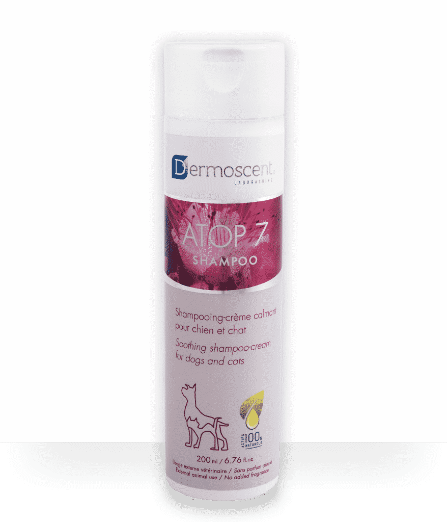 Atop 7 shampoo Dermoscent, shampoing crème calmant pour les peaux irritées chez le chien et le chat