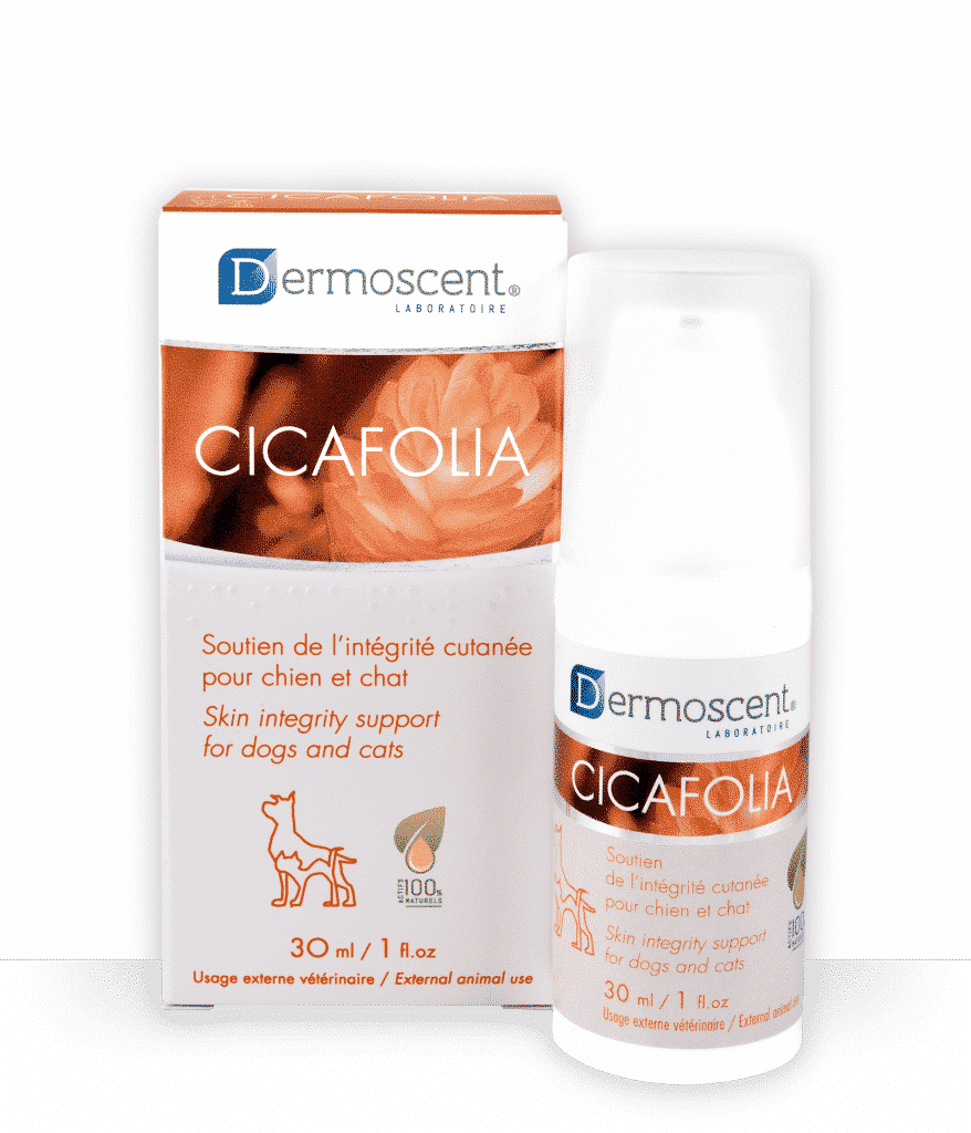 Cicafolia Dermoscent, Sérum gel réparateur pour chien et chat