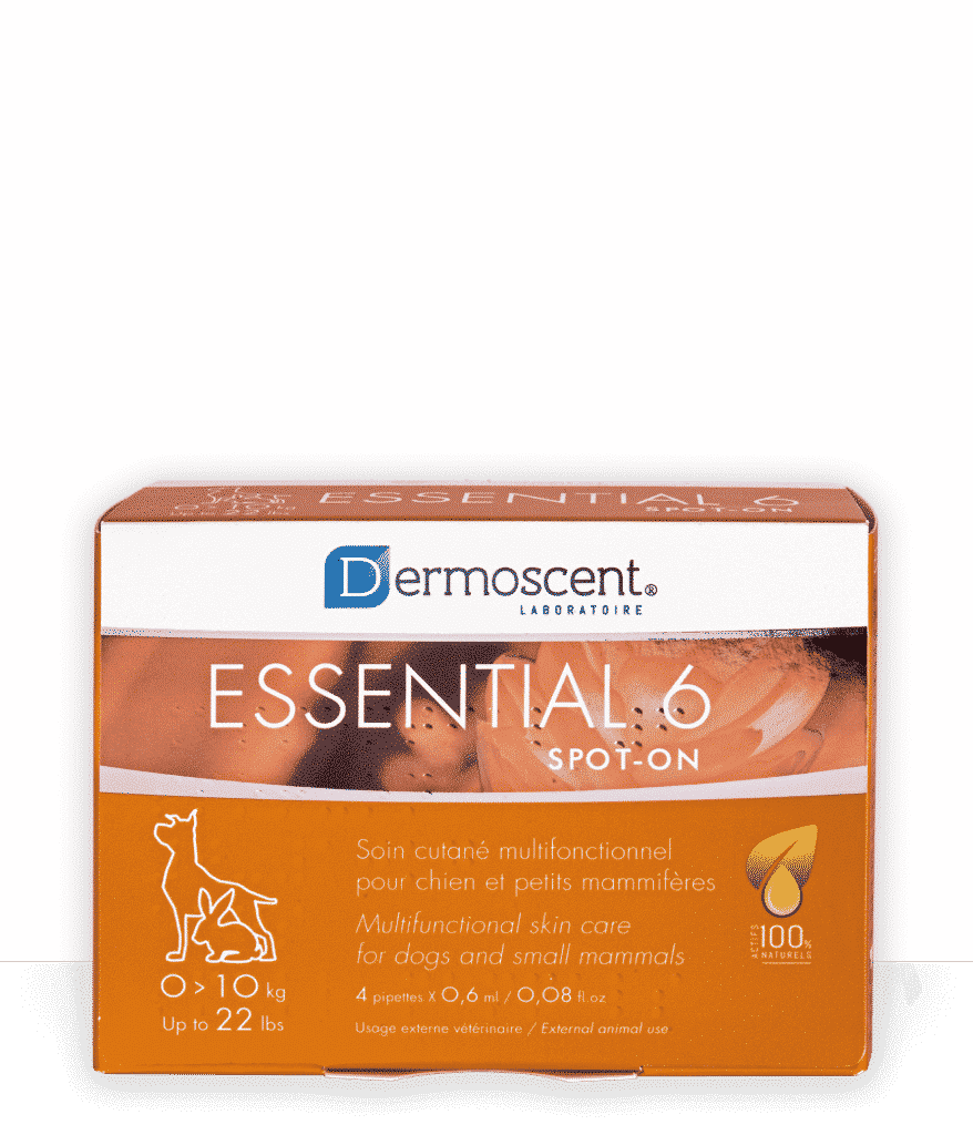 Essential 6 spot-on Dermoscent, soin cutané pour chien et lapin
