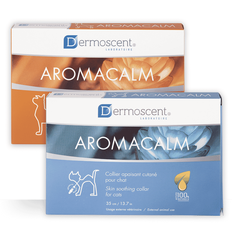 Aromacalm Dermoscent, soothing skin collar for dogs and cats